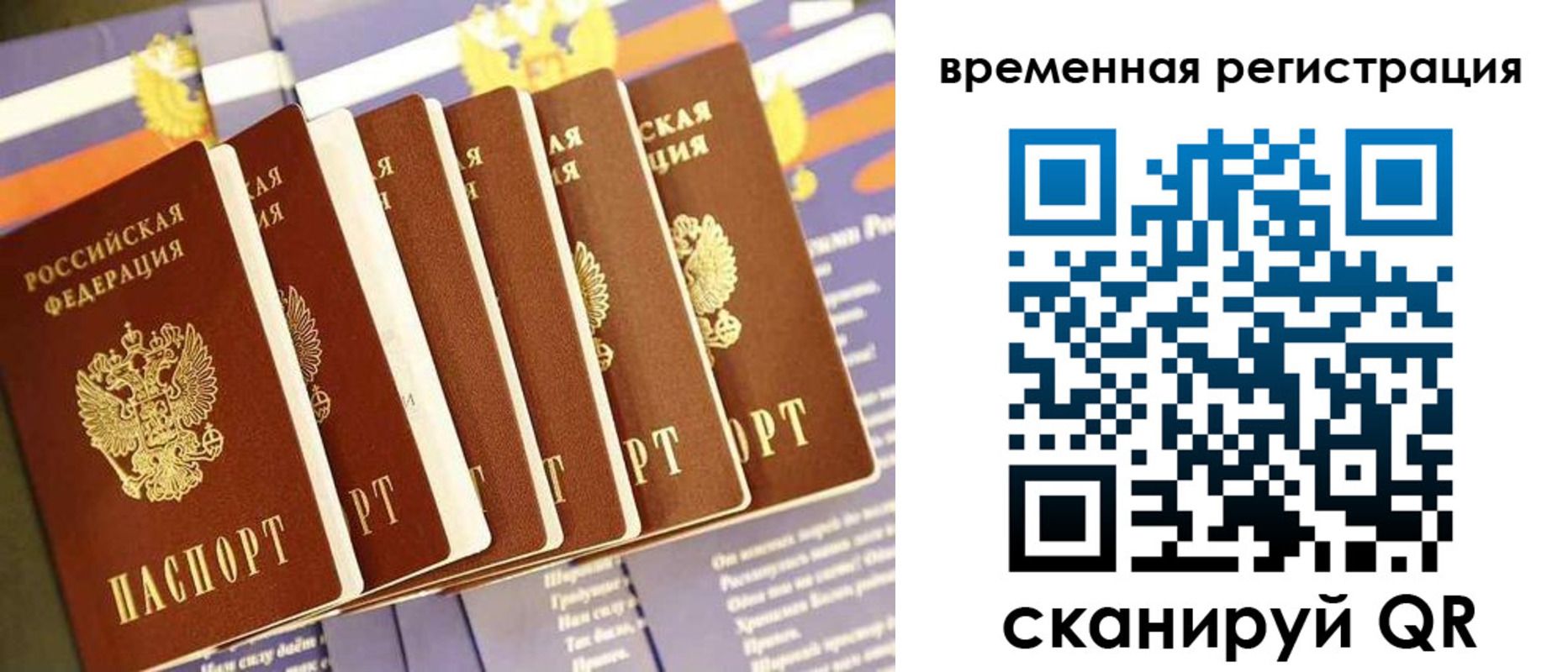 временная регистрация поиск в Козьмодемьянске